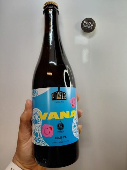 Pioneer Vana 13°/5,5% 0,7l